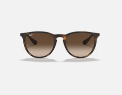 Ray-Ban 4171 865/13 Erika Güneş Gözlüğü